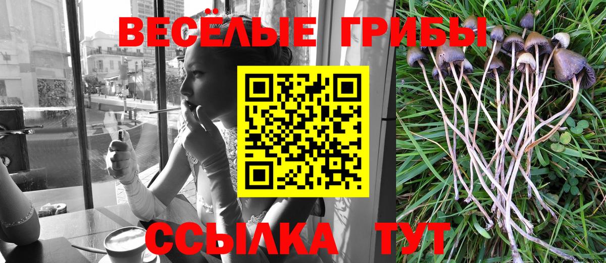 Псилоцибиновые грибы мицелий Ефремов