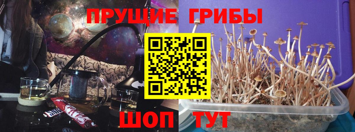 Галлюциногенные грибы мицелий  Вход с VPN  Ефремов  Галлюциногенные грибы GOLDEN TEACHER 